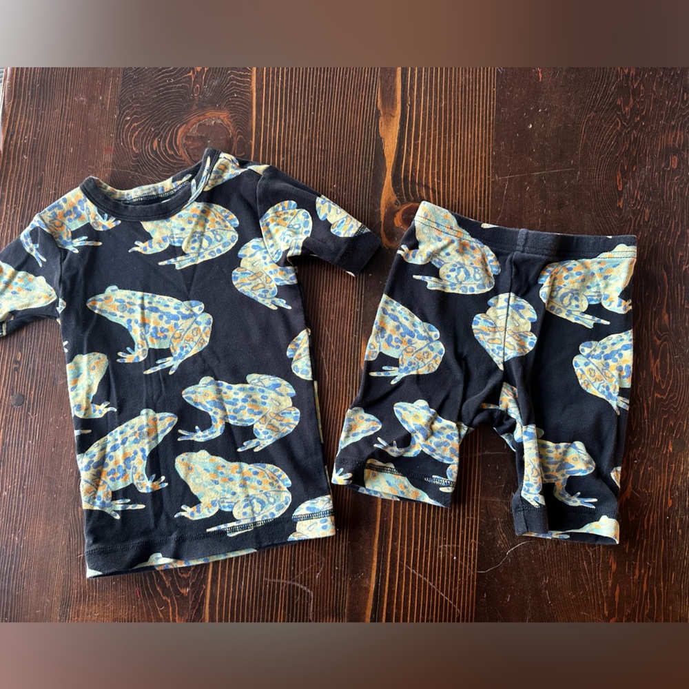 Tea Collection Frog Short Sleeve Pajama Set